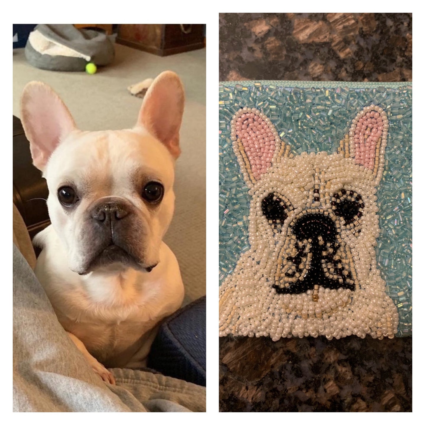 Furry Friends Coin Purse